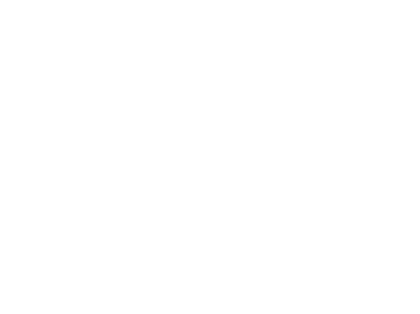Partner 2
