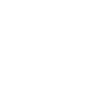 Partner 5