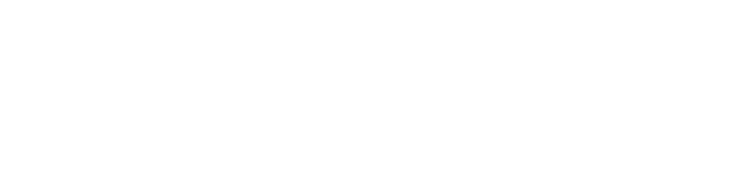 Partner 1